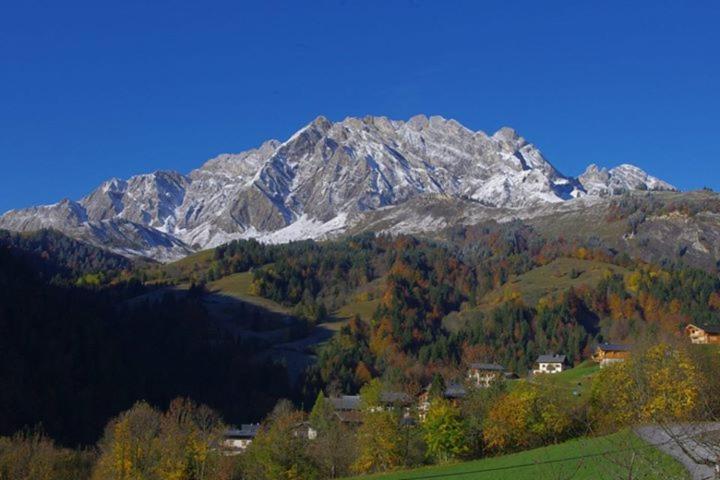 Le Grand Nant Daire La Giettaz Dış mekan fotoğraf